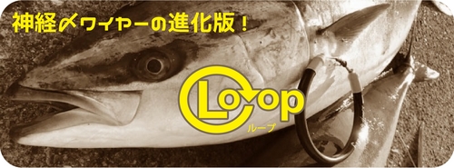 loop.jpg